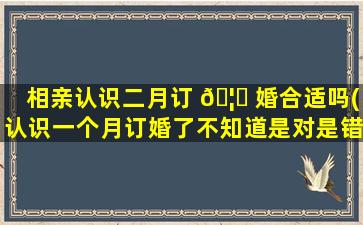 相亲认识二月订 🦍 婚合适吗(认识一个月订婚了不知道是对是错)